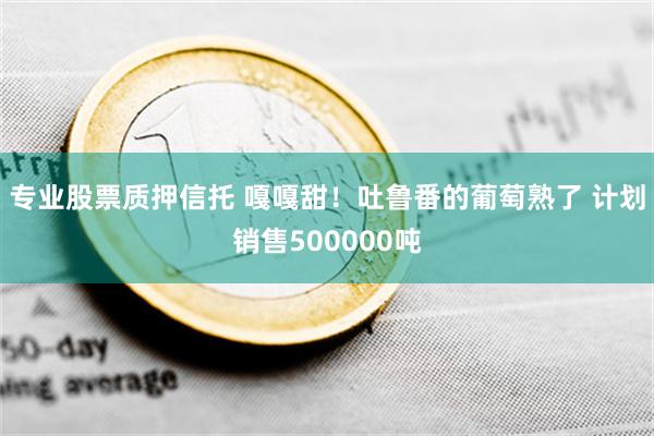 专业股票质押信托 嘎嘎甜！吐鲁番的葡萄熟了 计划销售500000吨