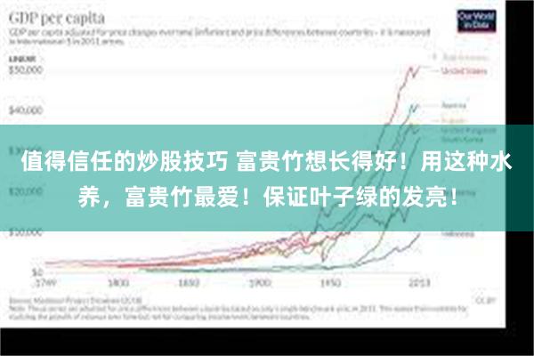 值得信任的炒股技巧 富贵竹想长得好！用这种水养，富贵竹最爱！保证叶子绿的发亮！