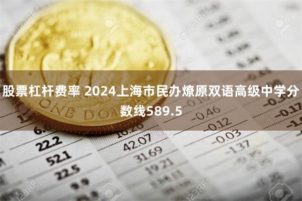 股票杠杆费率 2024上海市民办燎原双语高级中学分数线589.5