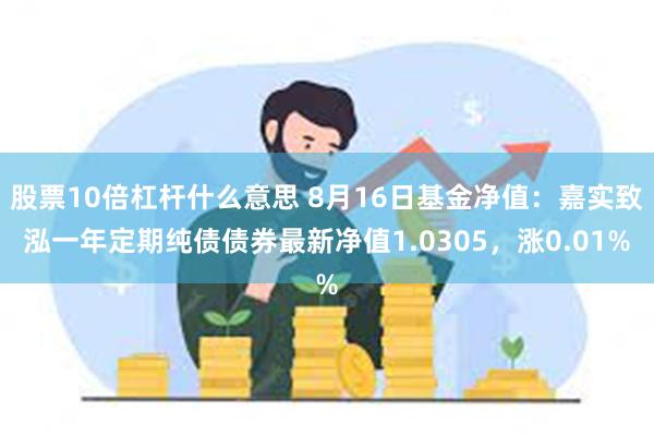 股票10倍杠杆什么意思 8月16日基金净值：嘉实致泓一年定期纯债债券最新净值1.0305，涨0.01%