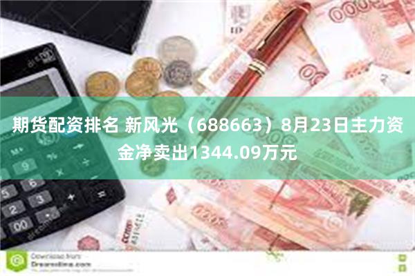 期货配资排名 新风光（688663）8月23日主力资金净卖出1344.09万元