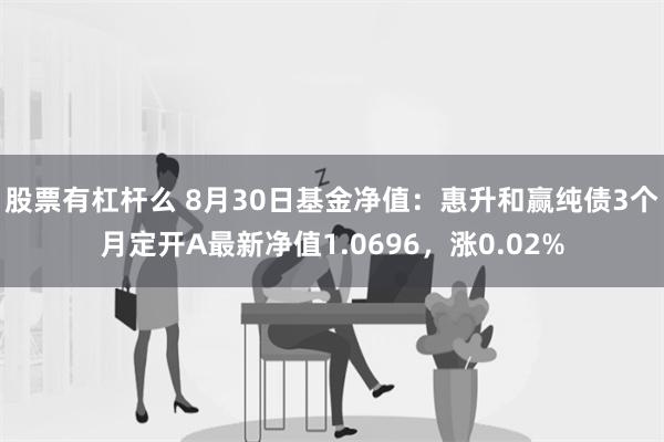 股票有杠杆么 8月30日基金净值：惠升和赢纯债3个月定开A最新净值1.0696，涨0.02%