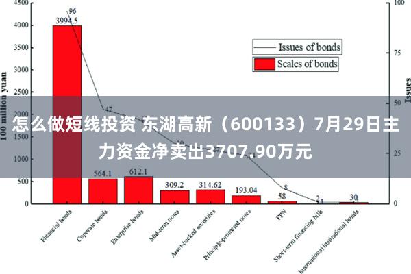 怎么做短线投资 东湖高新（600133）7月29日主力资金净卖出3707.90万元