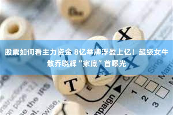 股票如何看主力资金 8亿举牌浮盈上亿！超级女牛散乔晓辉“家底”首曝光