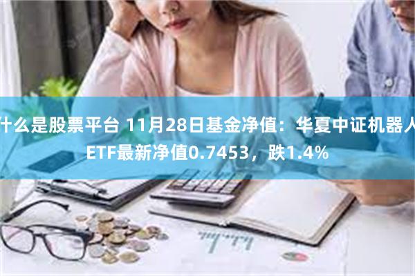 什么是股票平台 11月28日基金净值：华夏中证机器人ETF最新净值0.7453，跌1.4%