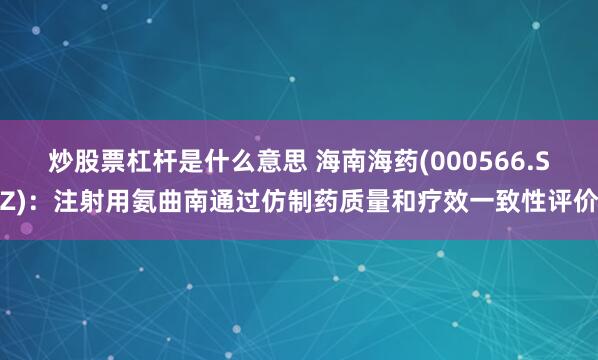 炒股票杠杆是什么意思 海南海药(000566.SZ)：注射用氨曲南通过仿制药质量和疗效一致性评价