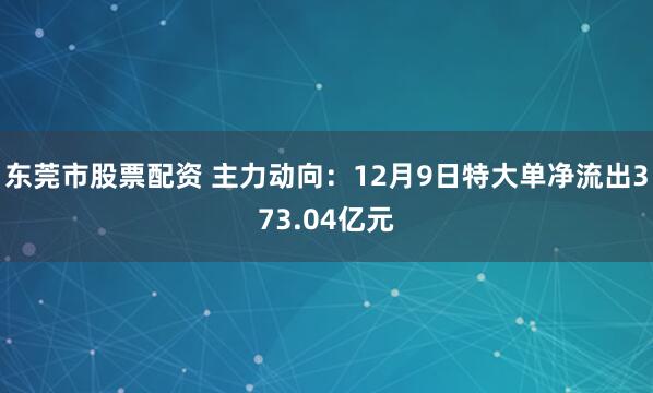 东莞市股票配资 主力动向：12月9日特大单净流出373.04亿元