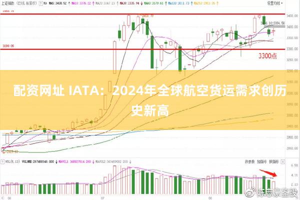 配资网址 IATA：2024年全球航空货运需求创历史新高