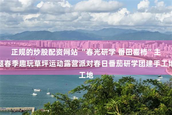 正规的炒股配资网站 “春光研学 番田喜柿”主题春季趣玩草坪运动露营派对春日番茄研学团建手工地